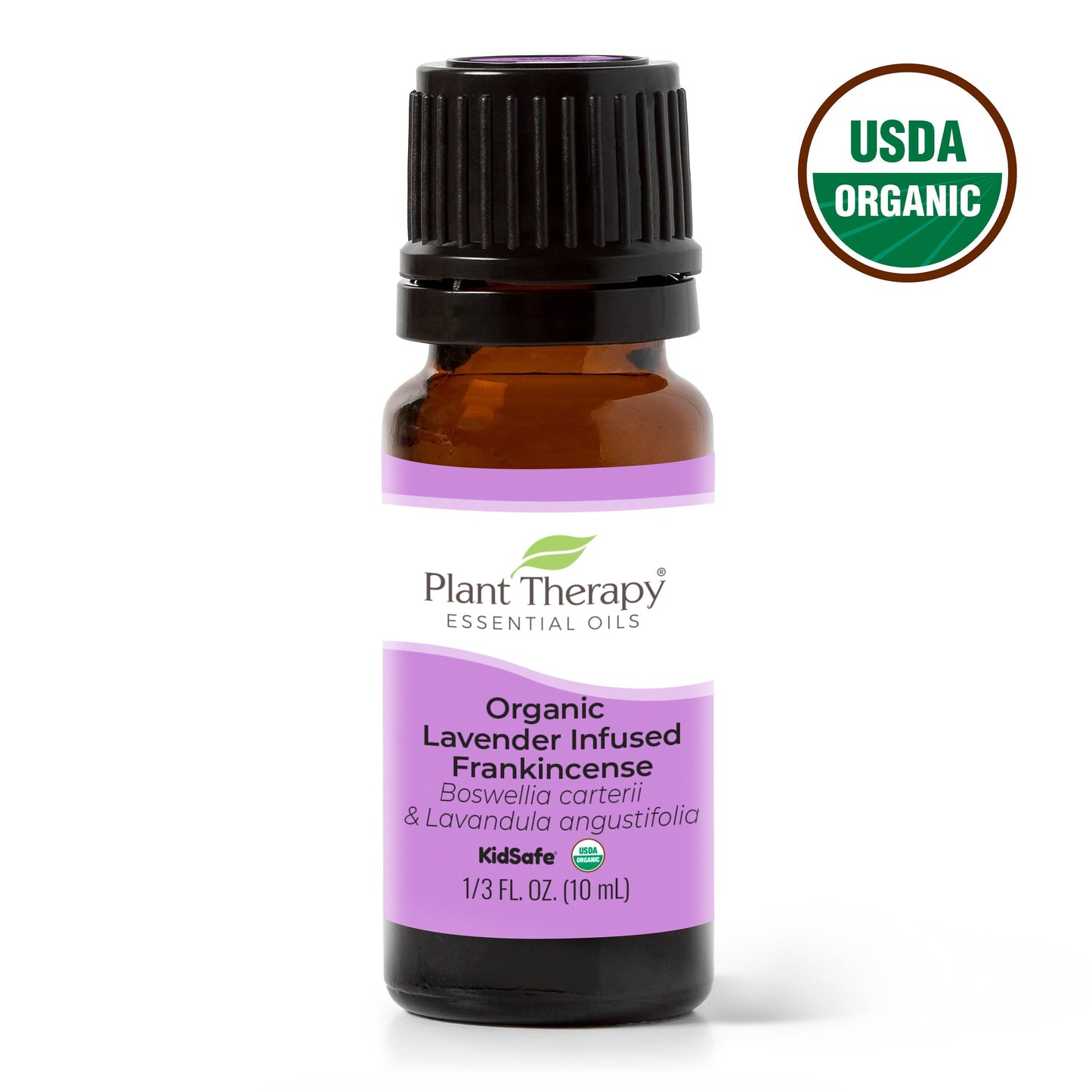 Organic Lavender Infused Frankincense Essential Oil Infusion - EcoStuff