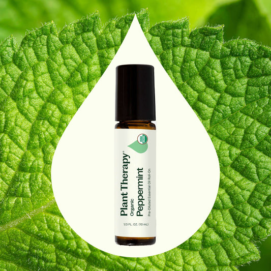 Organic Peppermint Essential Oil Pre - Diluted Roll - On - EcoStuff