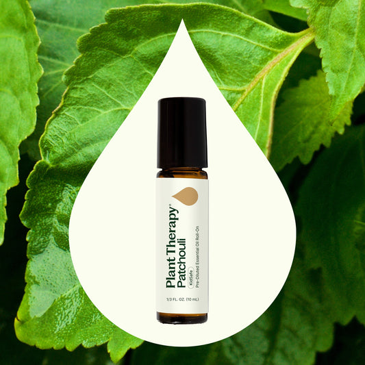 Patchouli Essential Oil Pre - Diluted Roll - On - EcoStuff