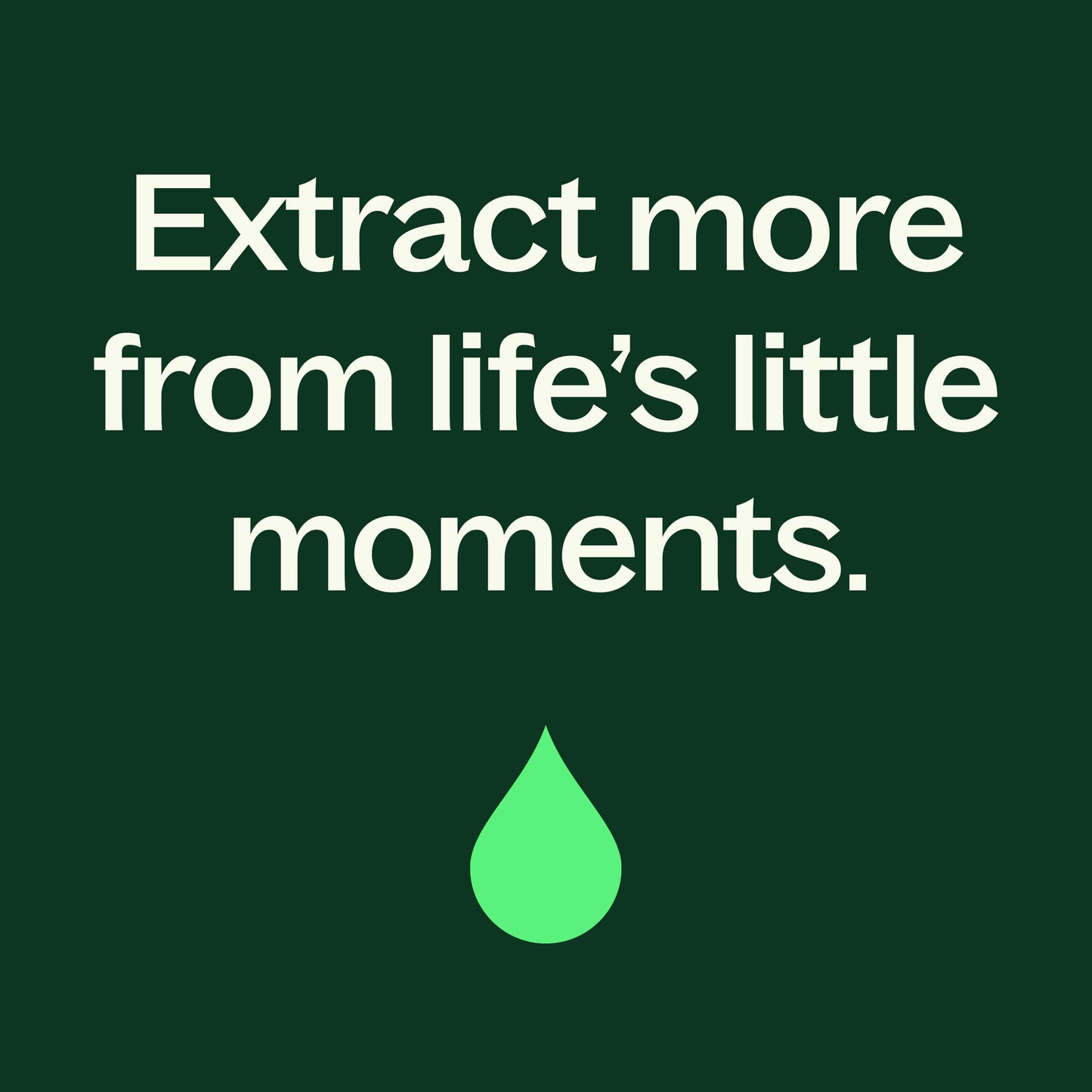 Peppermint Essential Oil - EcoStuff