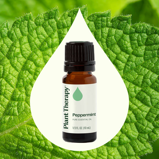 Peppermint Essential Oil - EcoStuff