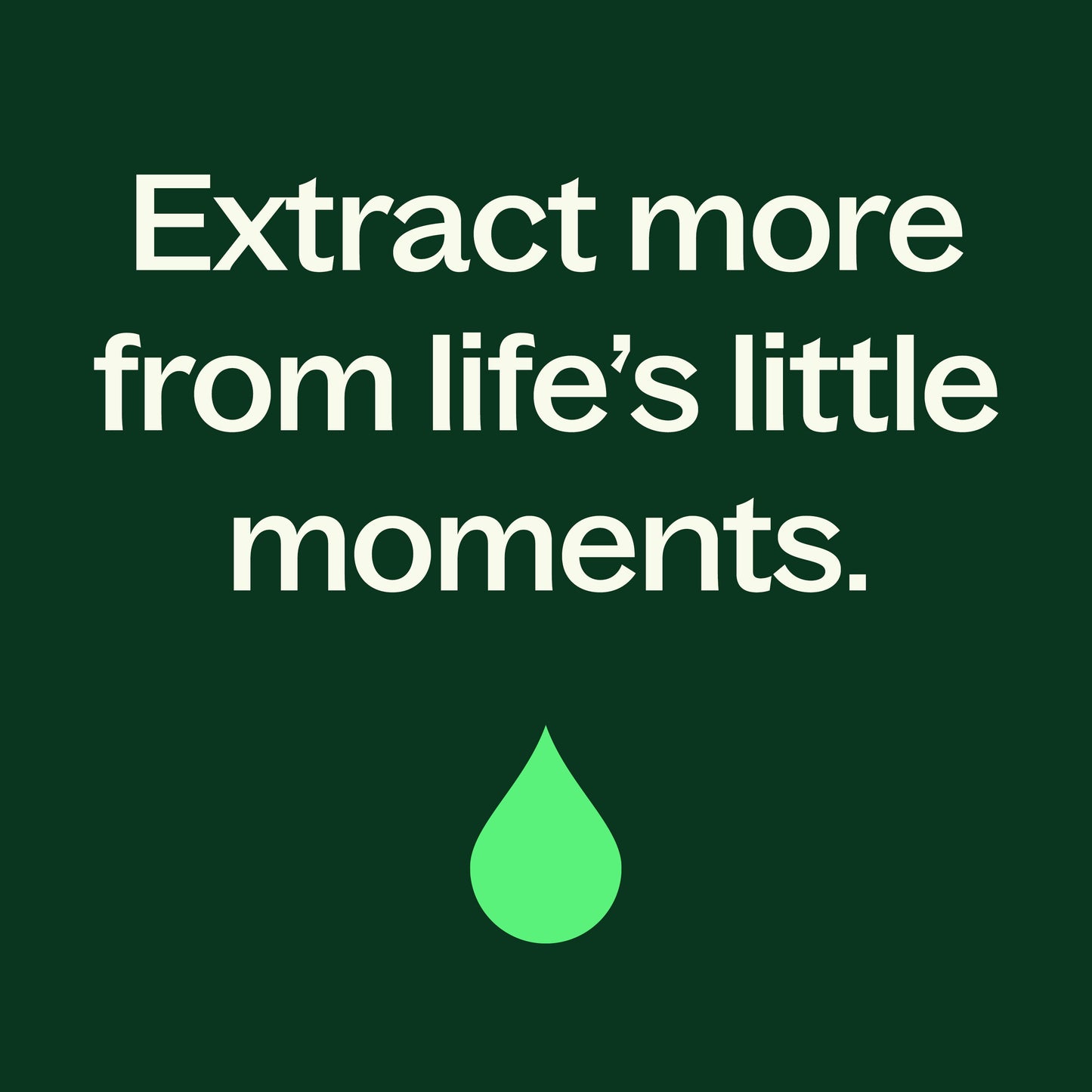 Restorative Facial Oil with Rosehip & Arnica - EcoStuff