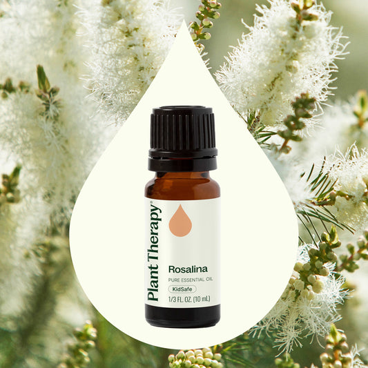 Rosalina Essential Oil - EcoStuff