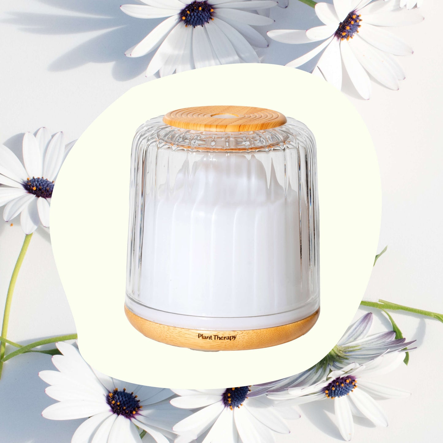 Serenity Glass Diffuser - EcoStuff