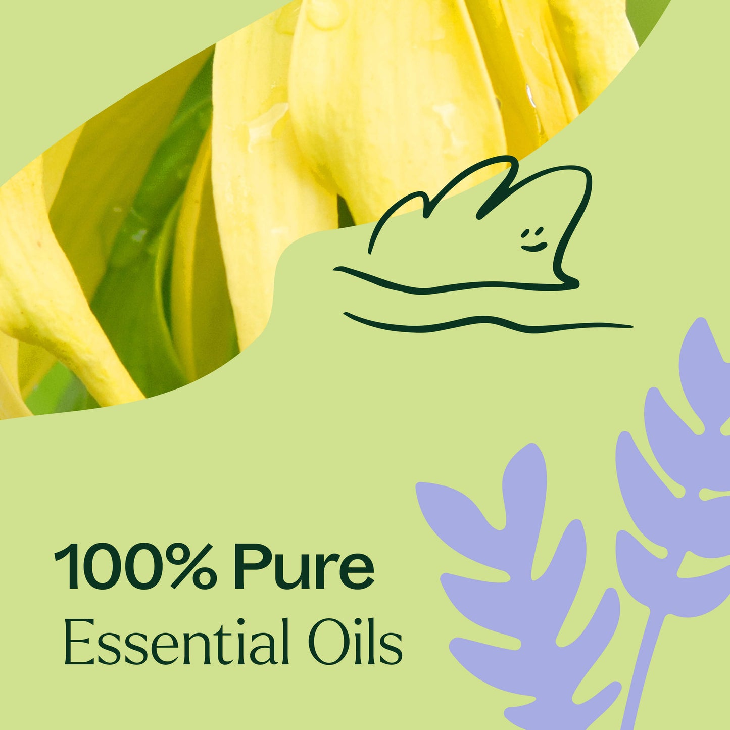 Sleep Aid Essential Oil Blend - EcoStuff