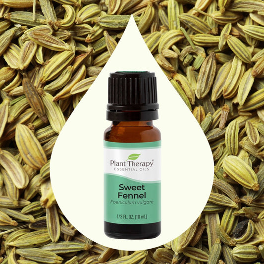 Sweet Fennel Essential Oil - EcoStuff