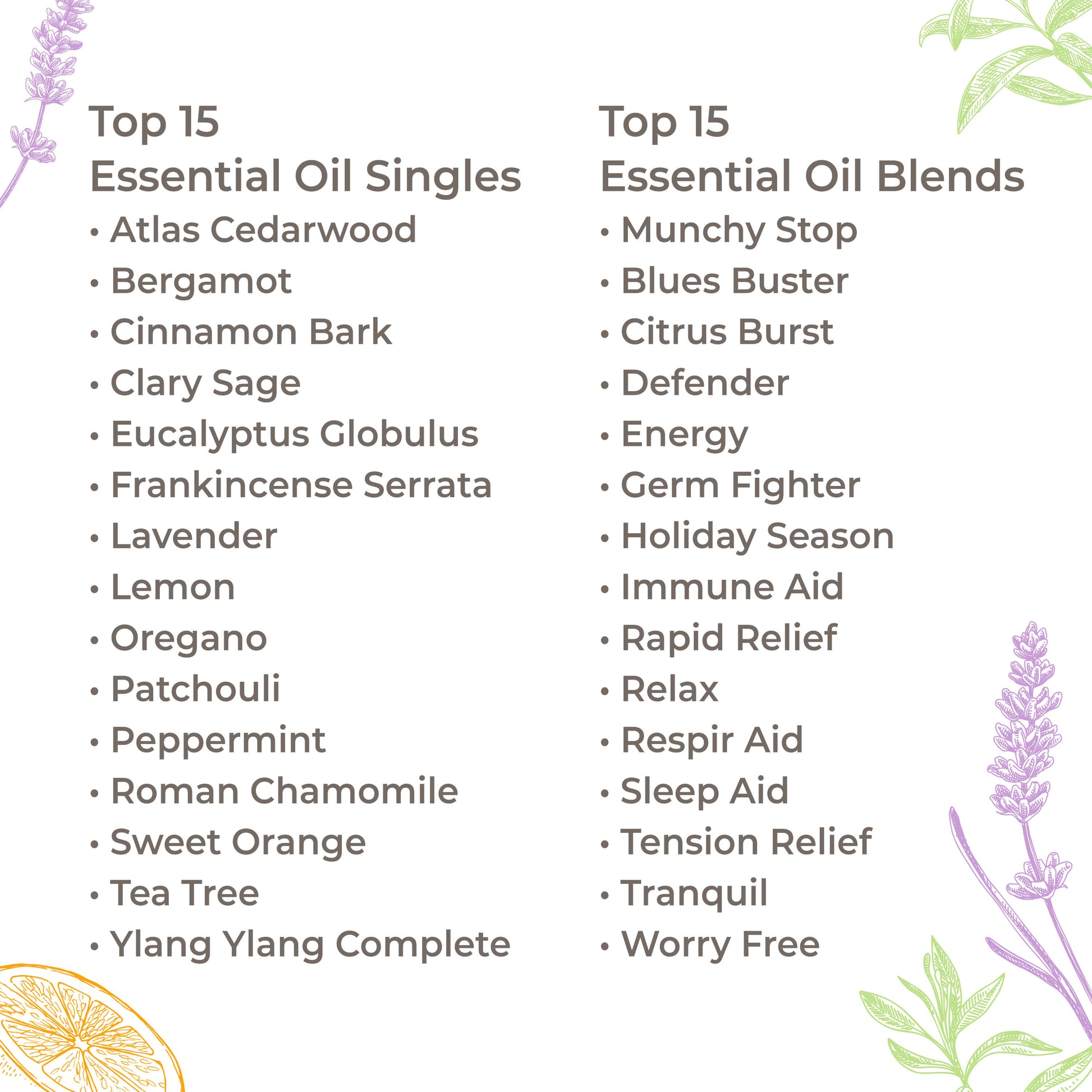 15 & 15 Essential Oil Set with Carrying Case - EcoStuff