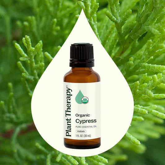 Organic Cypress Essential Oil