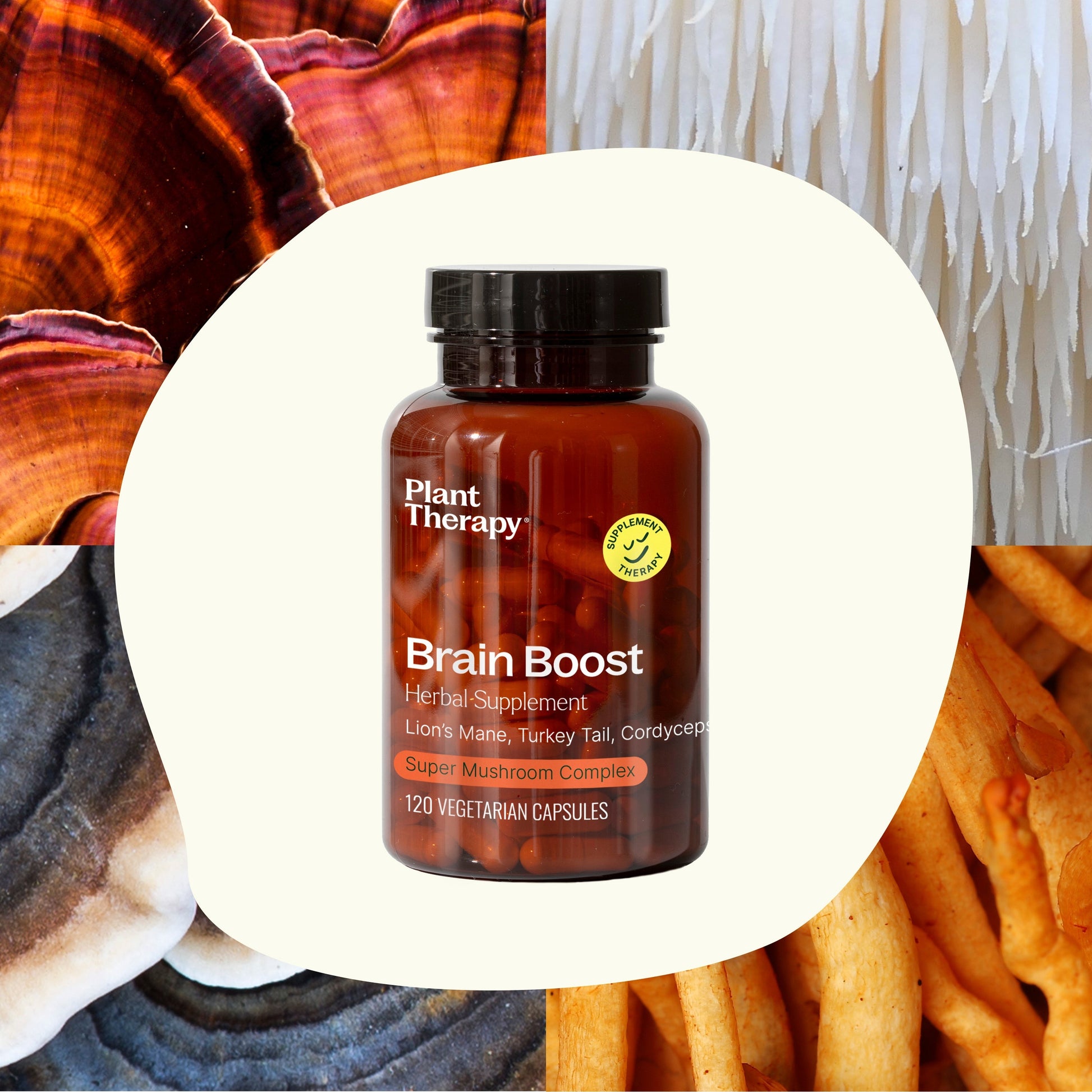 Brain Boost Herbal Supplement - 120 Capsules - EcoStuff
