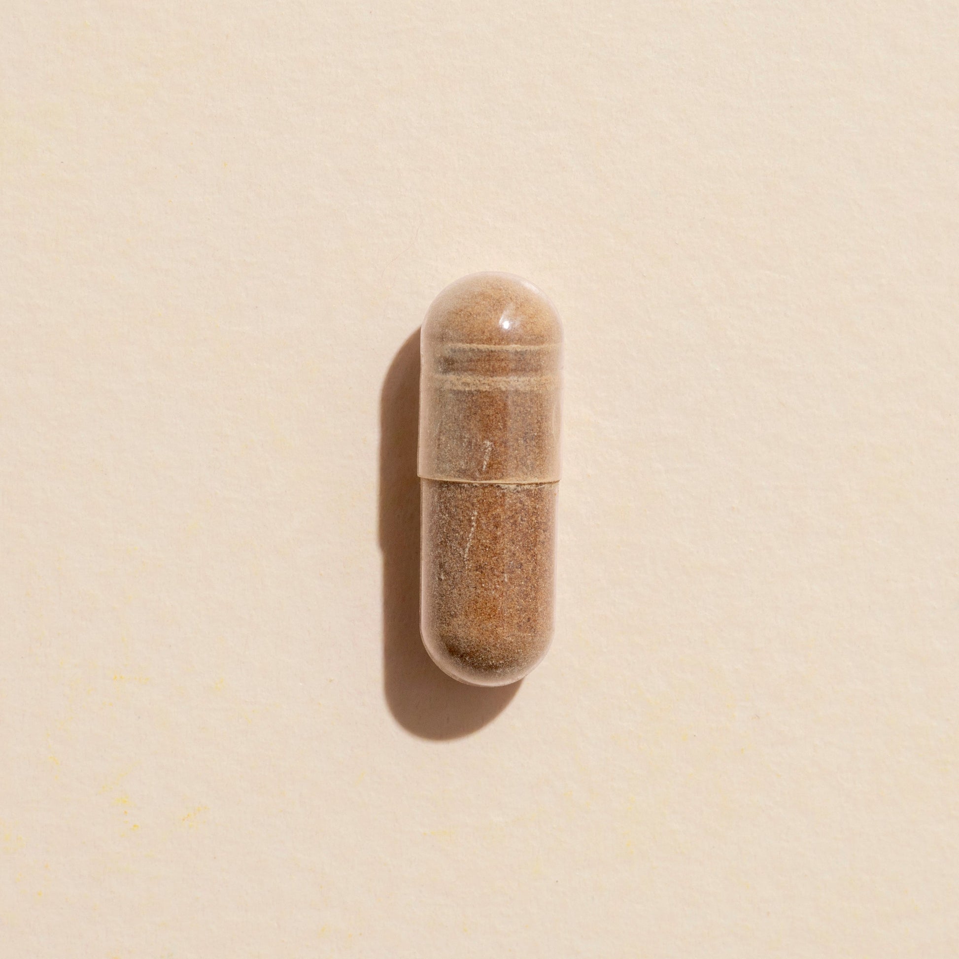 Brain Boost Herbal Supplement - 120 Capsules - EcoStuff