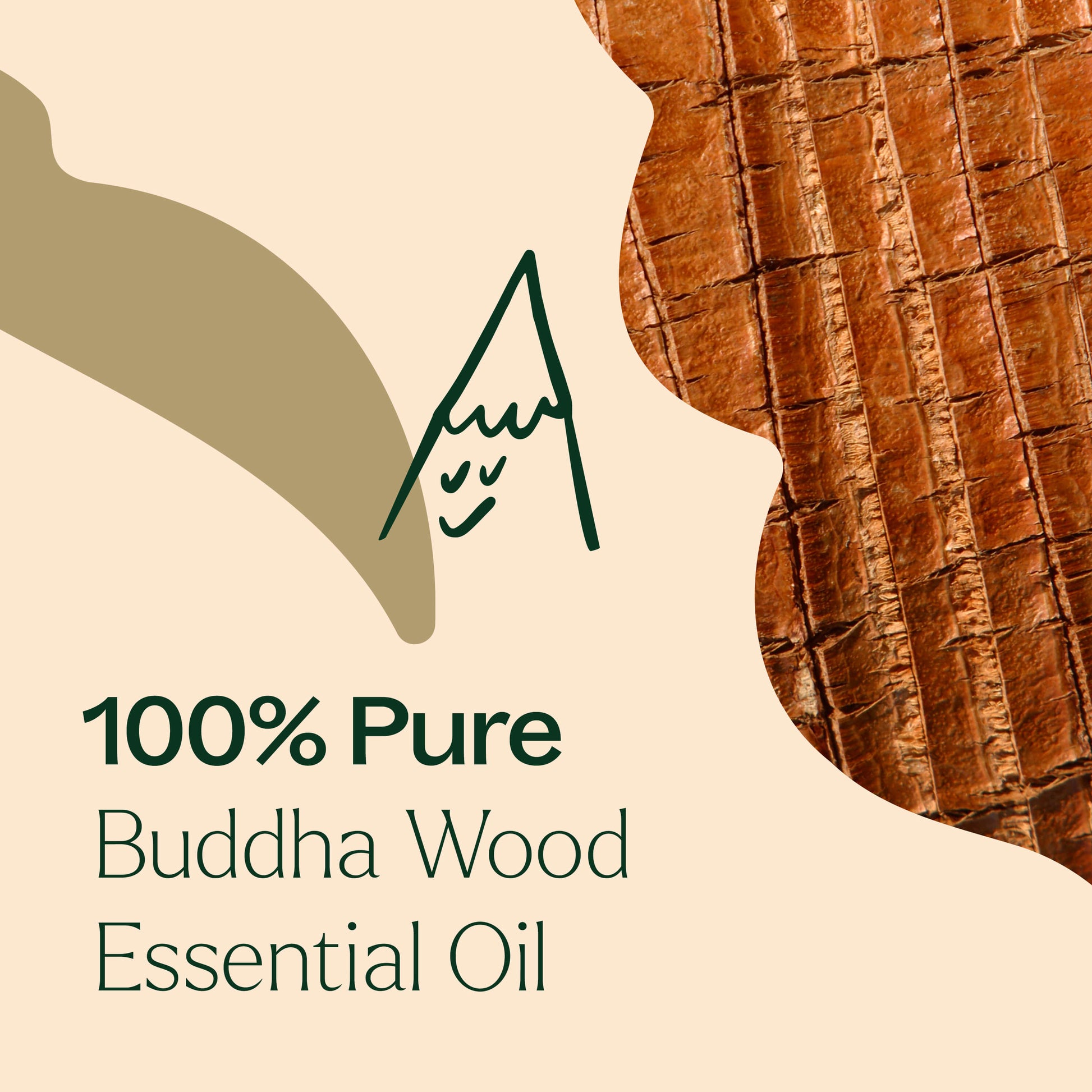 Buddha Wood Essential Oil - EcoStuff