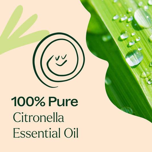 Citronella Essential Oil - EcoStuff