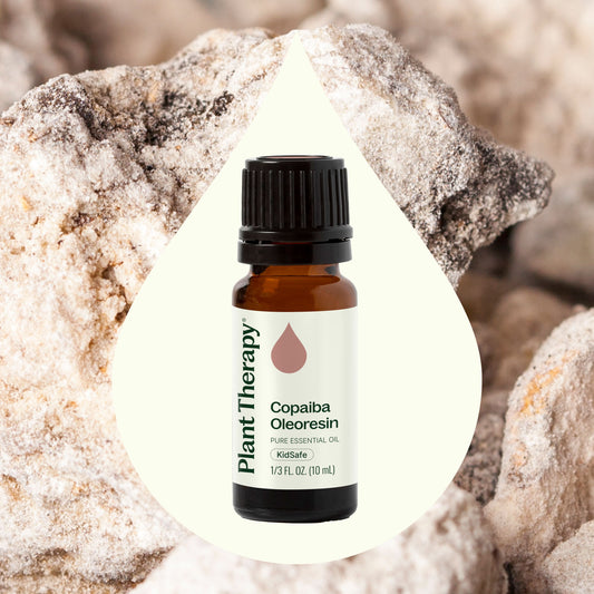Copaiba Oleoresin - EcoStuff