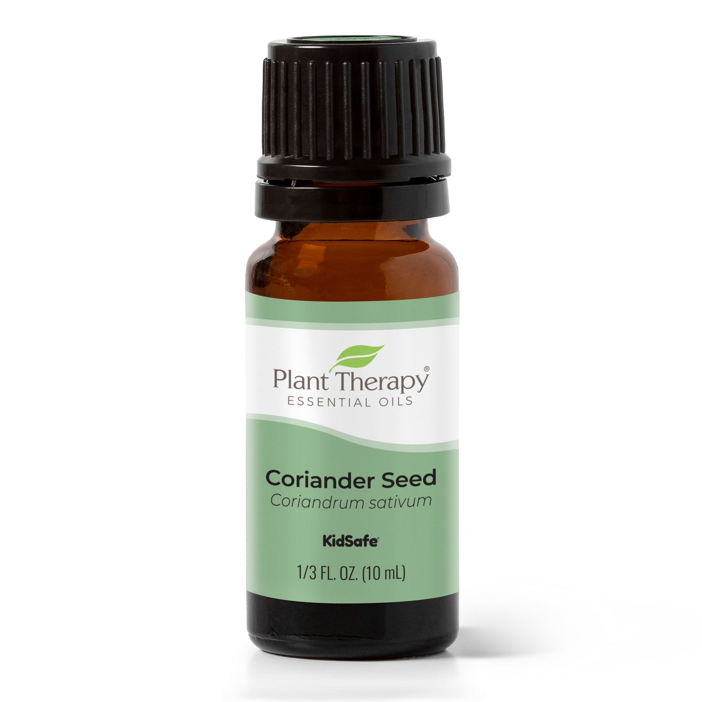 Coriander Seed Essential Oil - EcoStuff