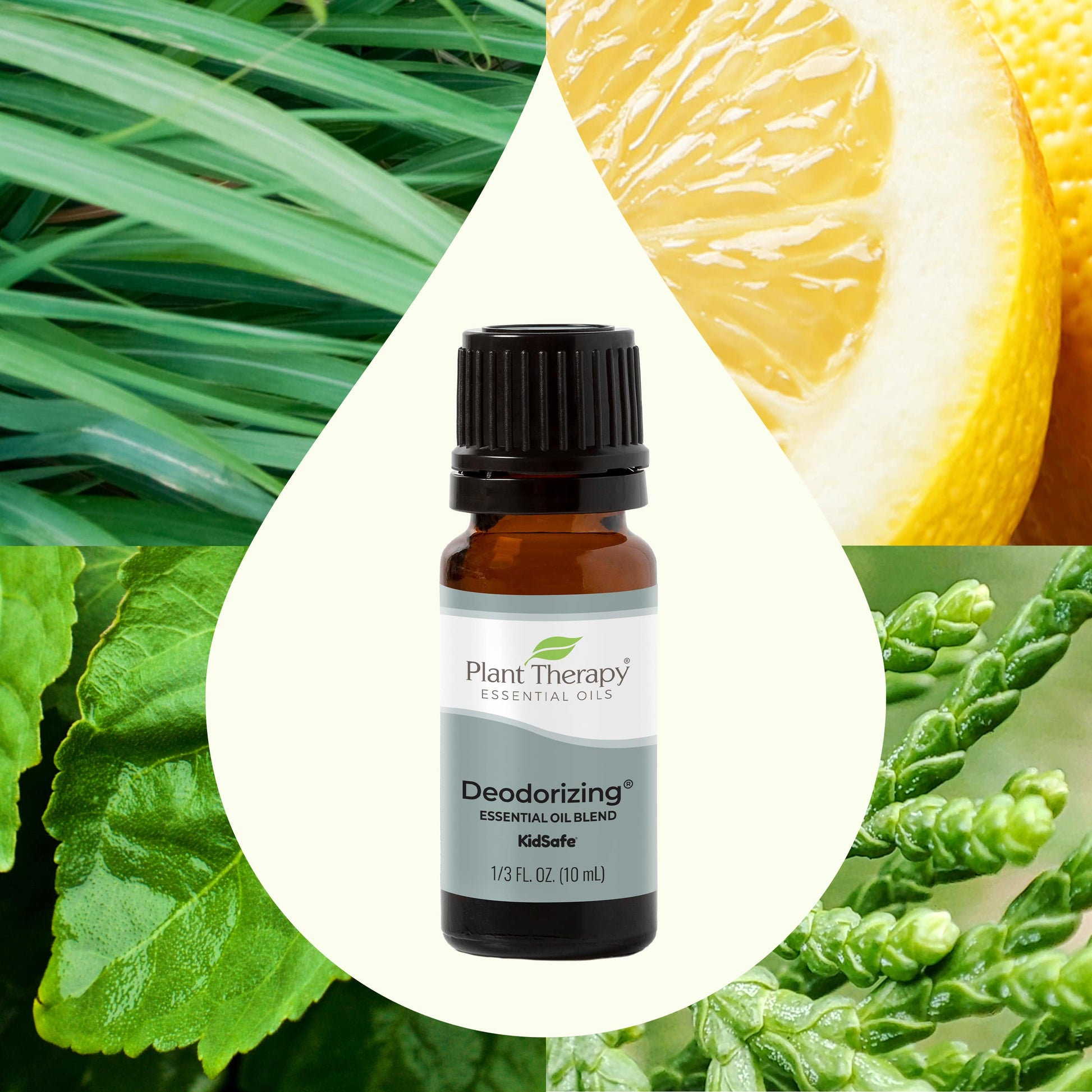 Deodorizing Essential Oil Blend - EcoStuff