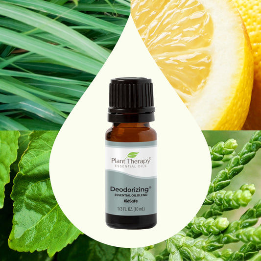 Deodorizing Essential Oil Blend - EcoStuff