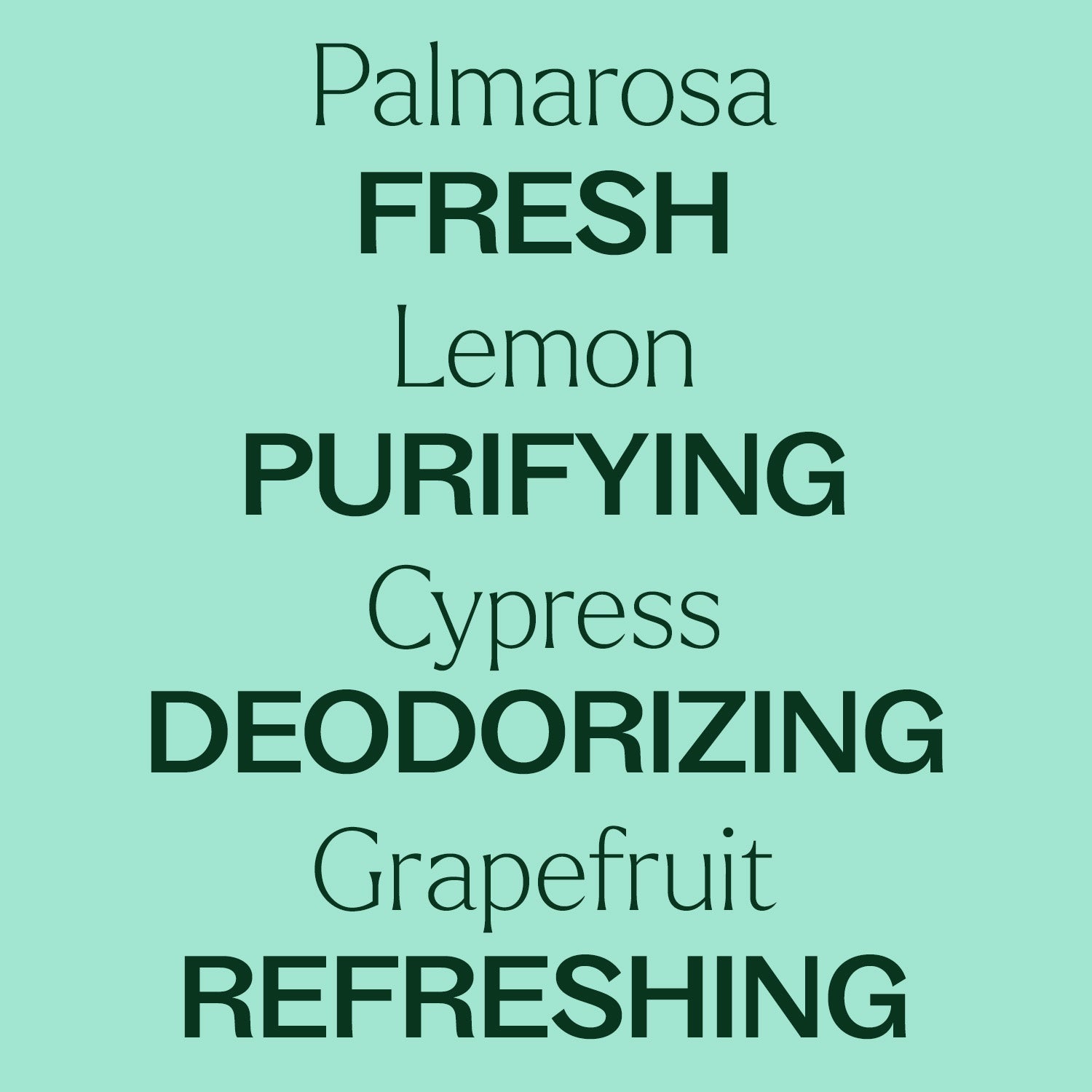 Deodorizing Powder - EcoStuff