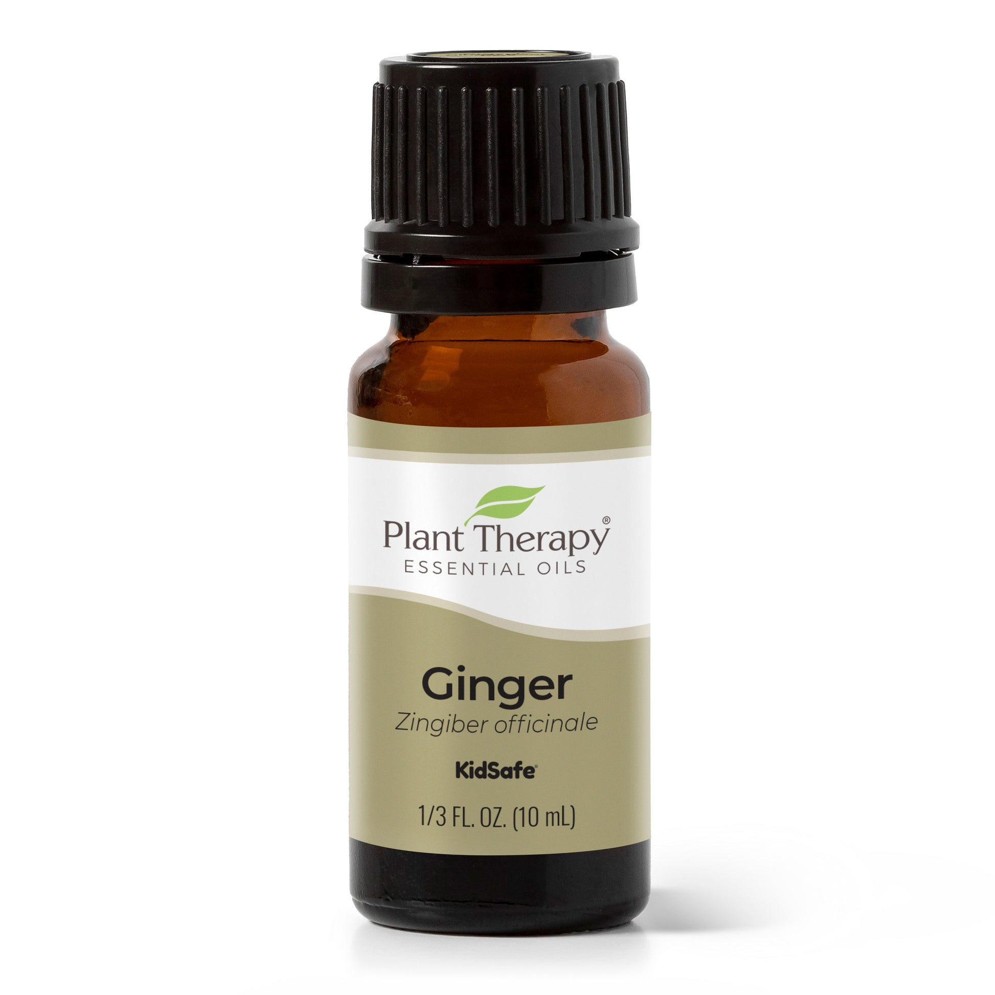 Ginger Essential Oil - EcoStuff