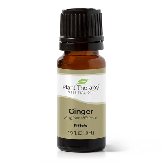 Ginger Essential Oil - EcoStuff