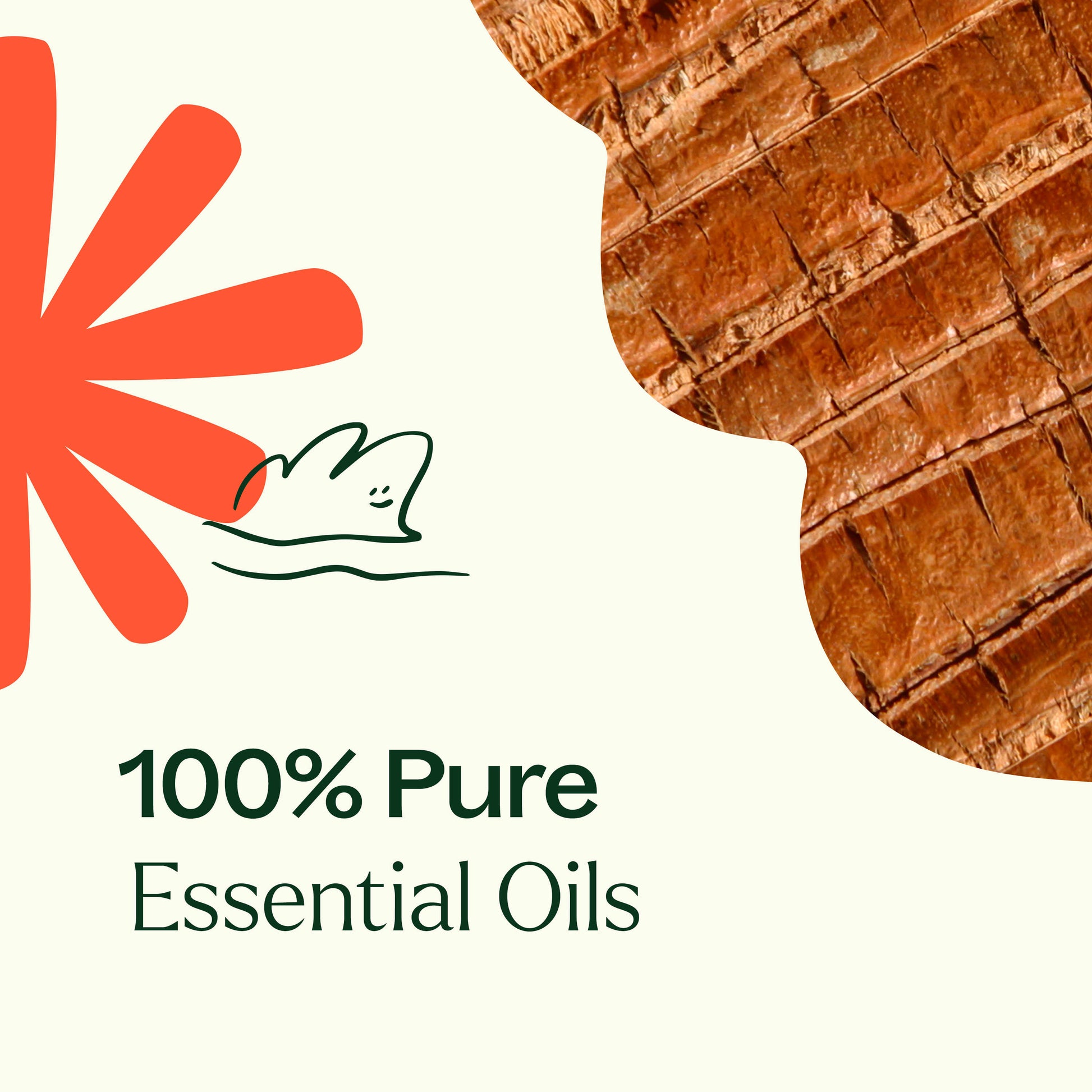 Grounded Foundation (Root Chakra) Essential Oil - EcoStuff