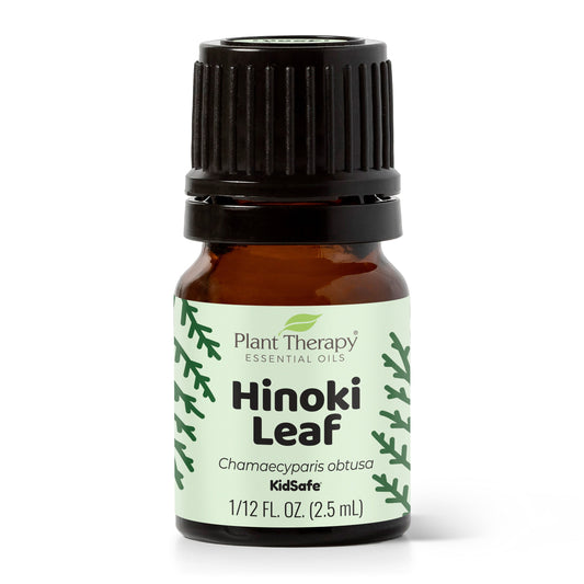 Hinoki Leaf Essential Oil - EcoStuff