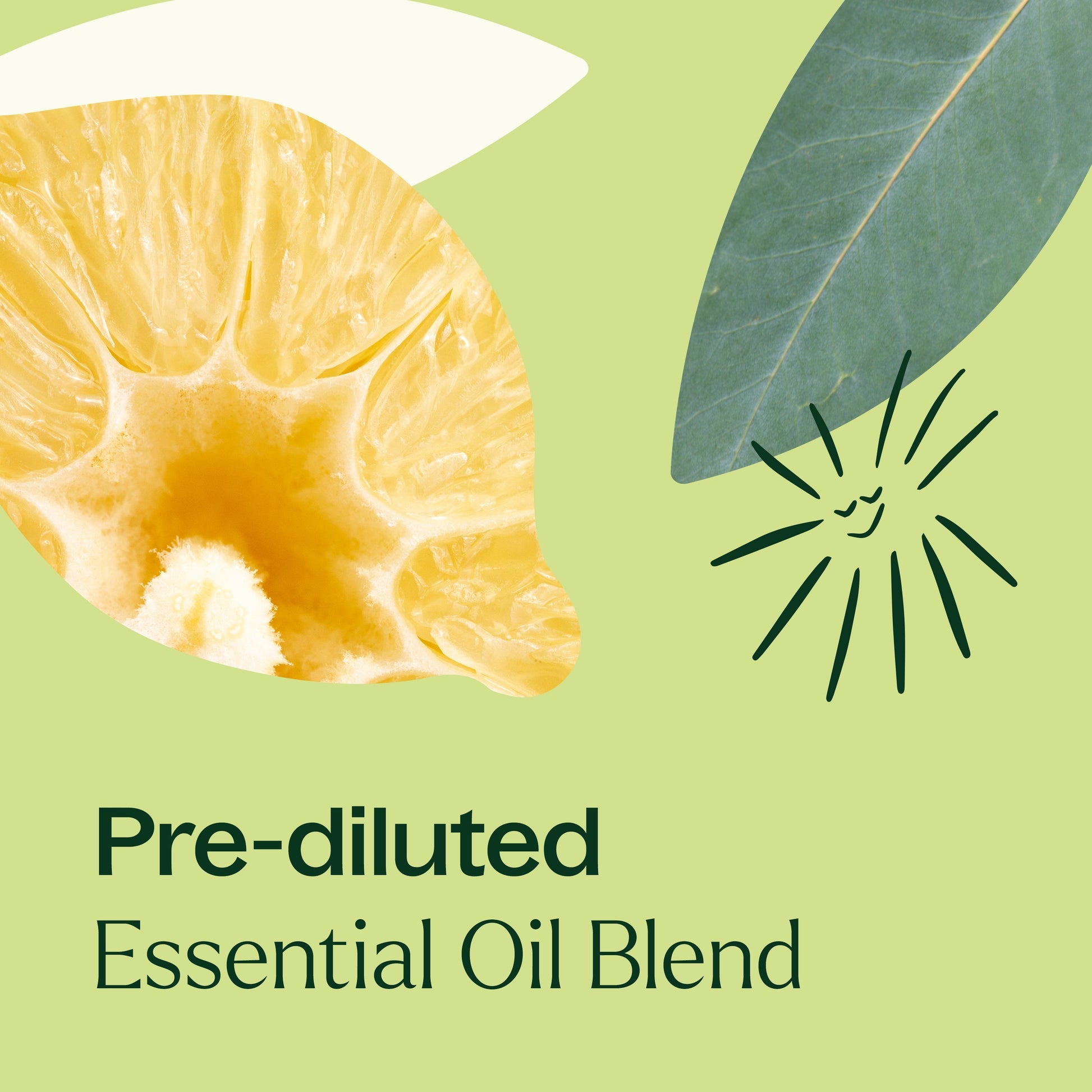 Immune Aid Essential Oil Blend Pre - Diluted Roll - On - EcoStuff