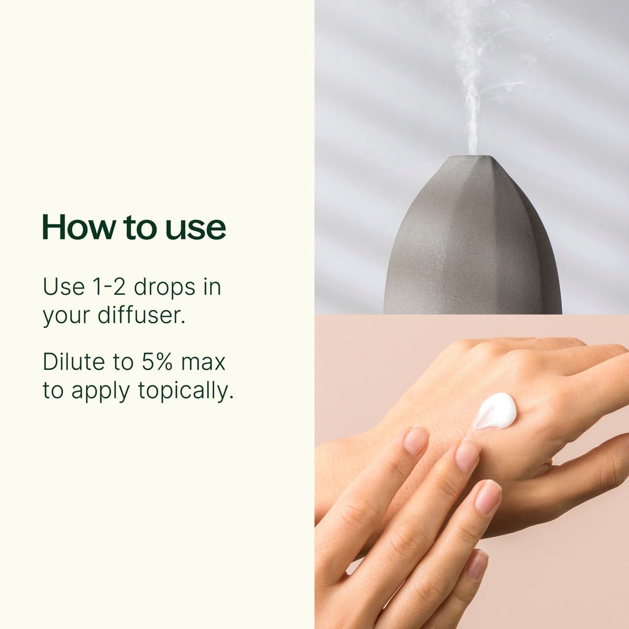 Jasmine Absolute Essential Oil - EcoStuff