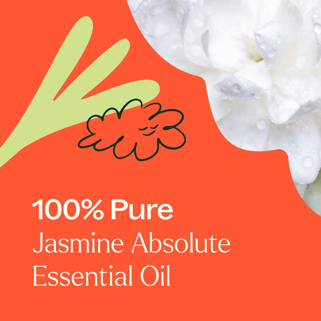 Jasmine Absolute Essential Oil - EcoStuff