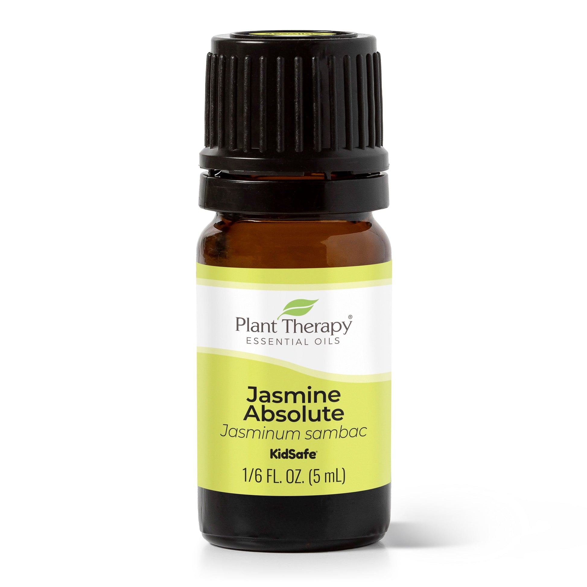 Jasmine Absolute Essential Oil - EcoStuff