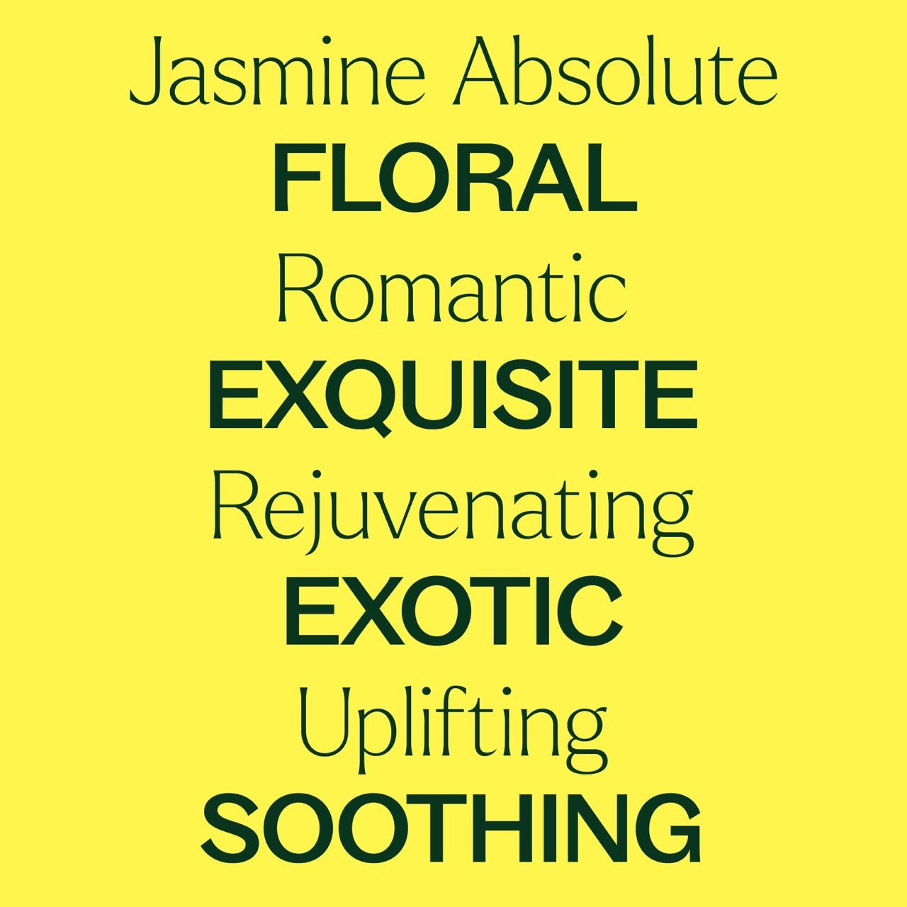 Jasmine Absolute Essential Oil - EcoStuff