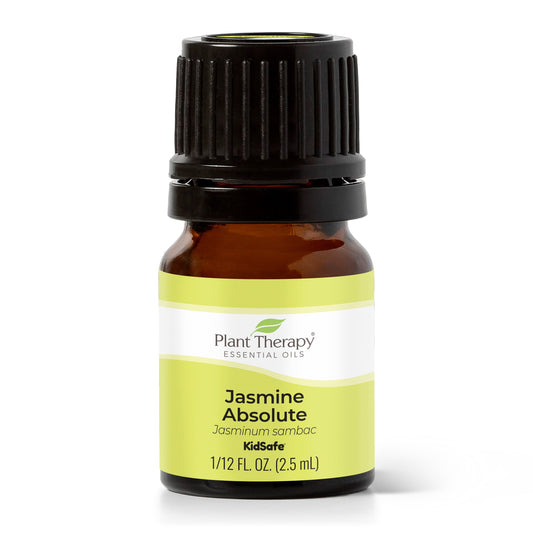 Jasmine Absolute Essential Oil - EcoStuff