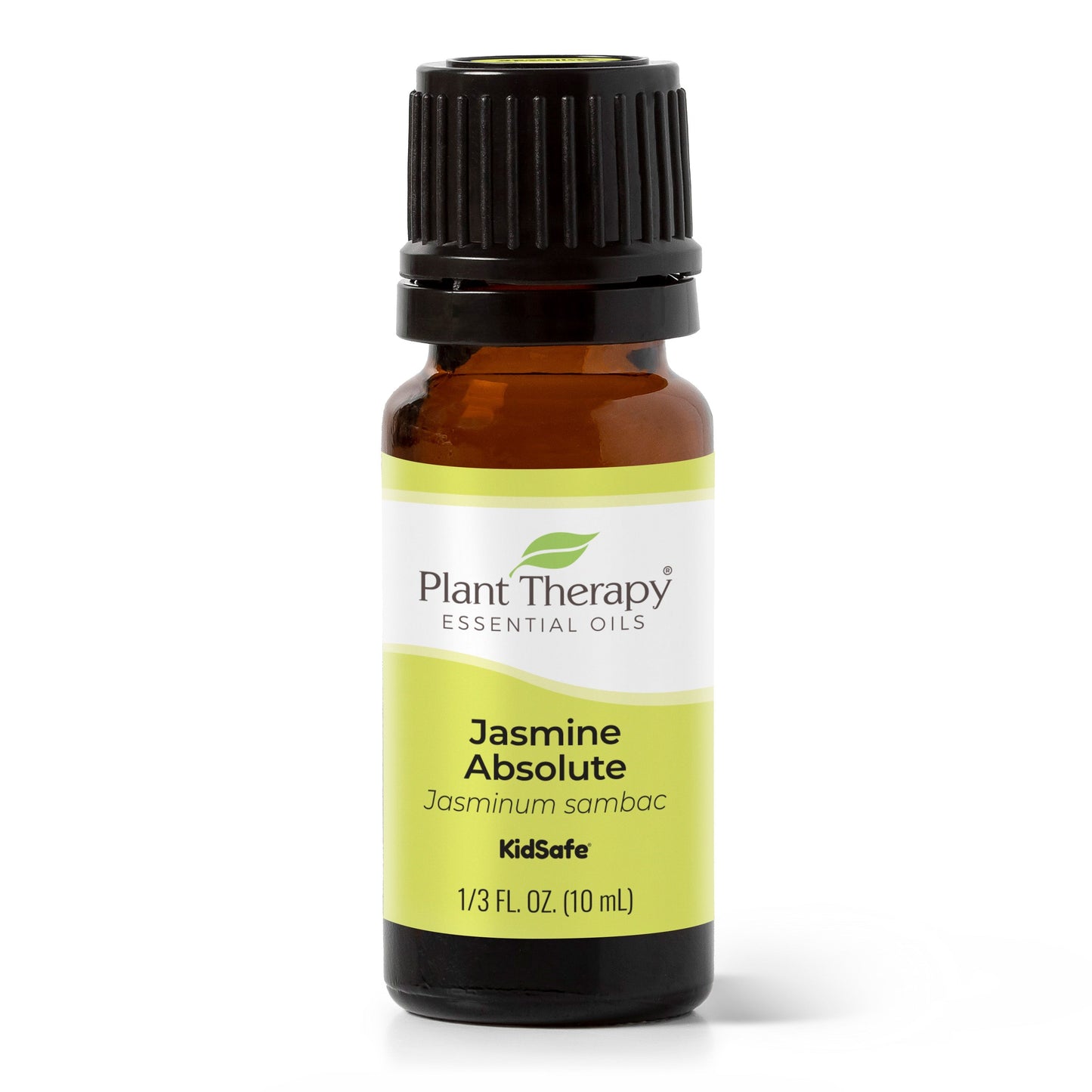 Jasmine Absolute Essential Oil - EcoStuff