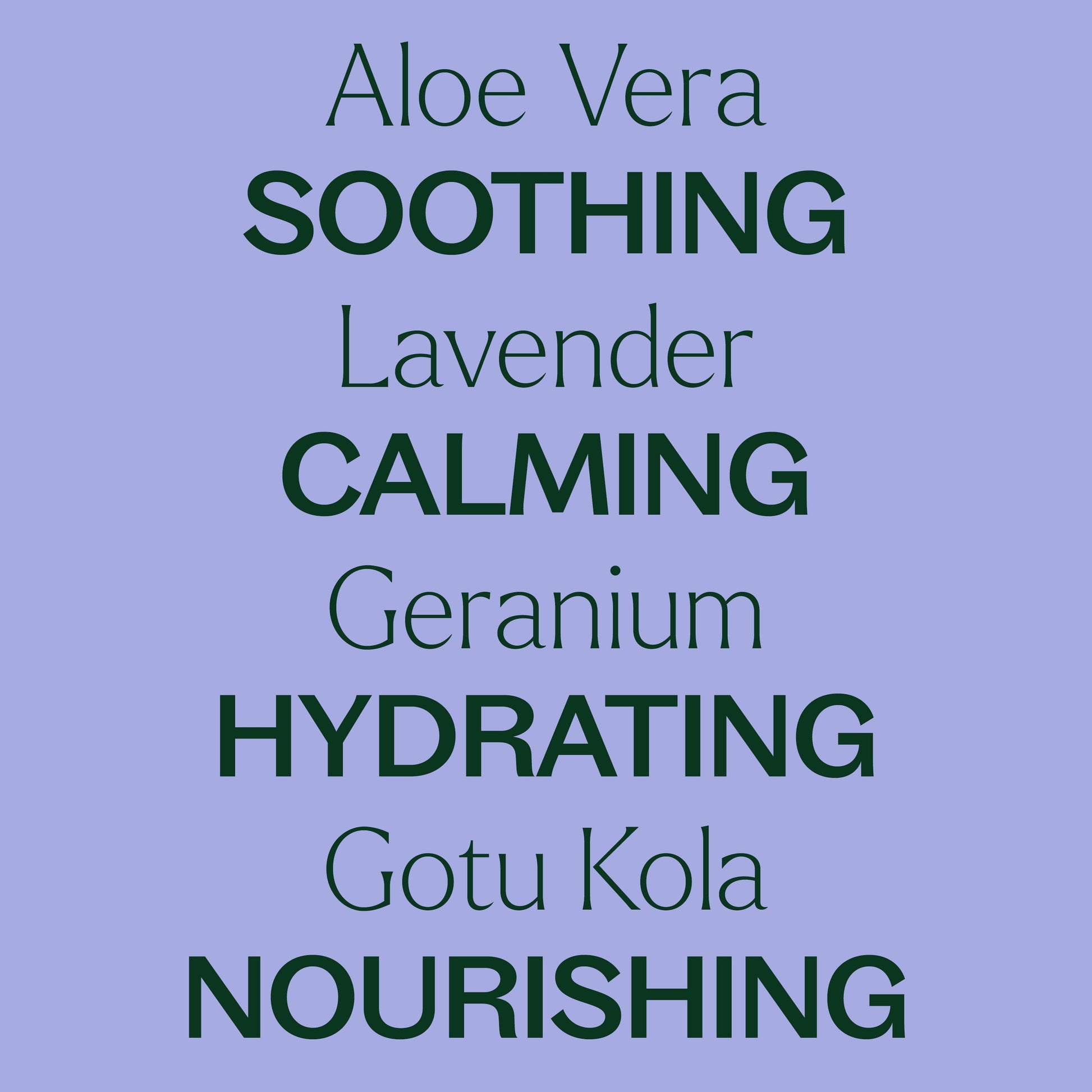 Lavender Aloe Vera Jelly - EcoStuff