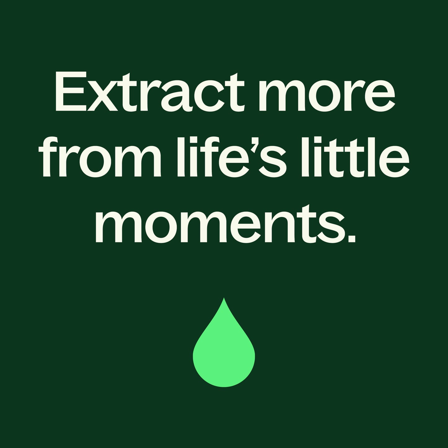 Manuka Essential Oil - EcoStuff