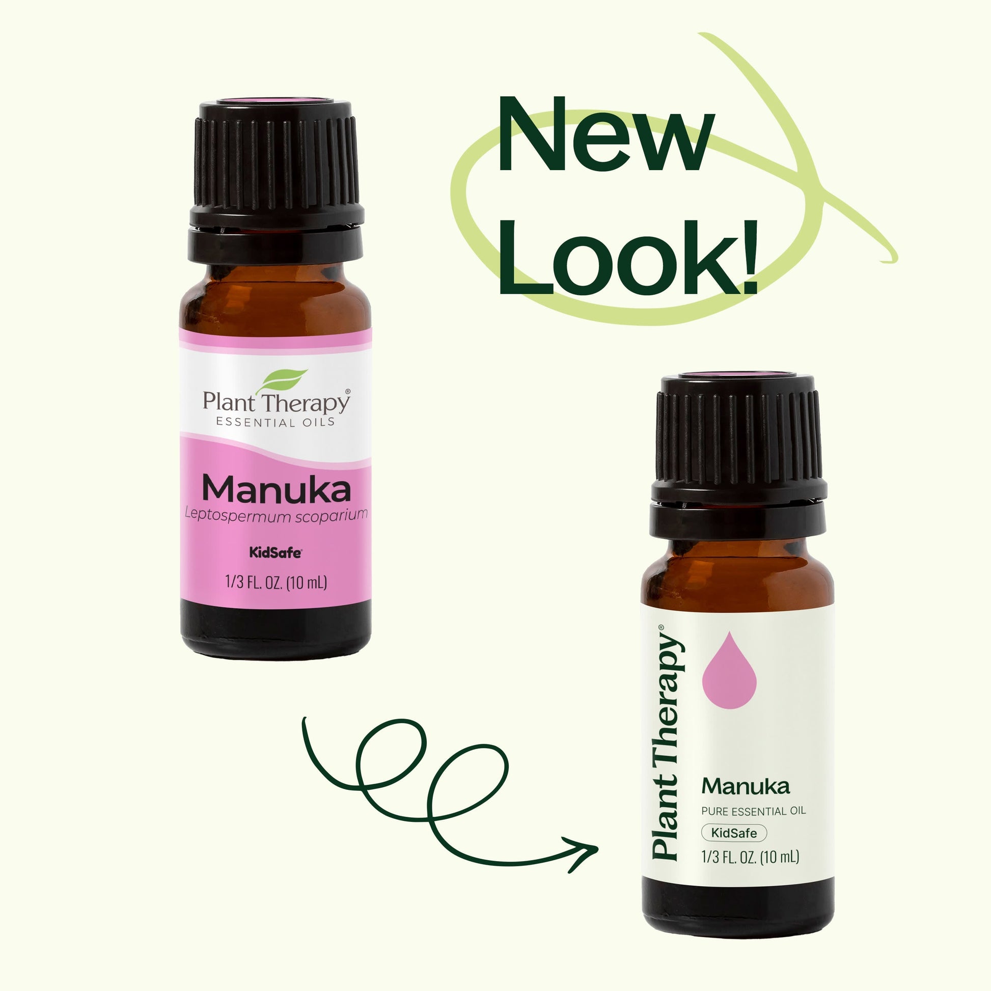 Manuka Essential Oil - EcoStuff