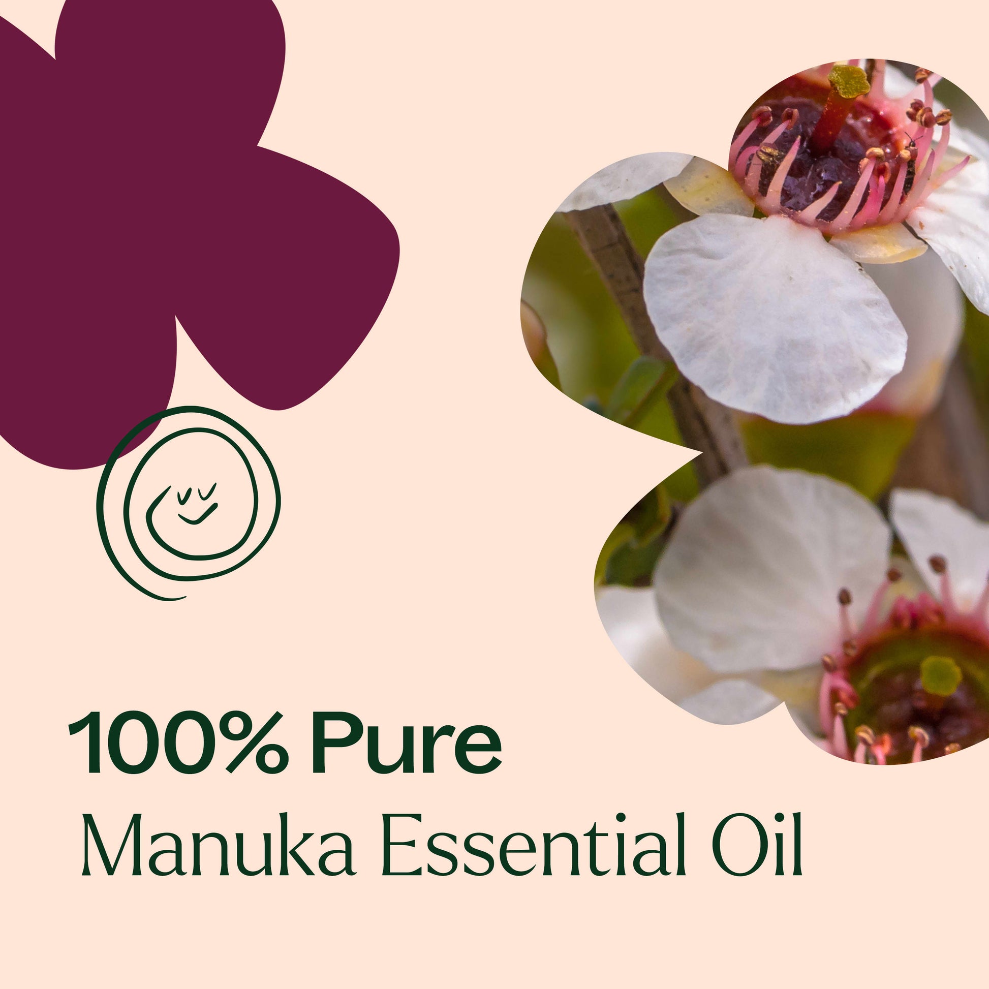 Manuka Essential Oil - EcoStuff