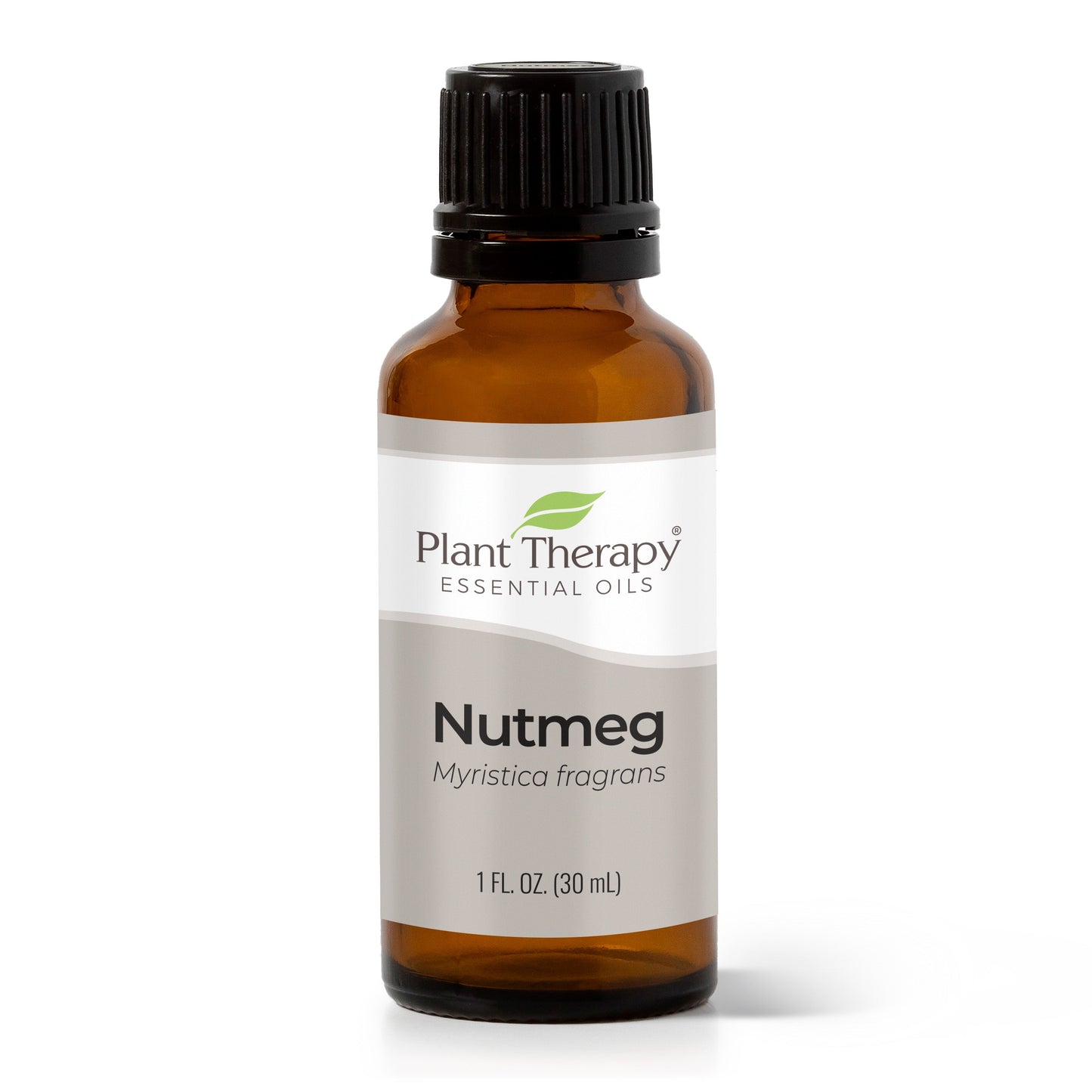 Nutmeg Essential Oil - EcoStuff