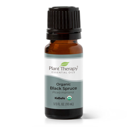 Organic Black Spruce Essential Oil - EcoStuff