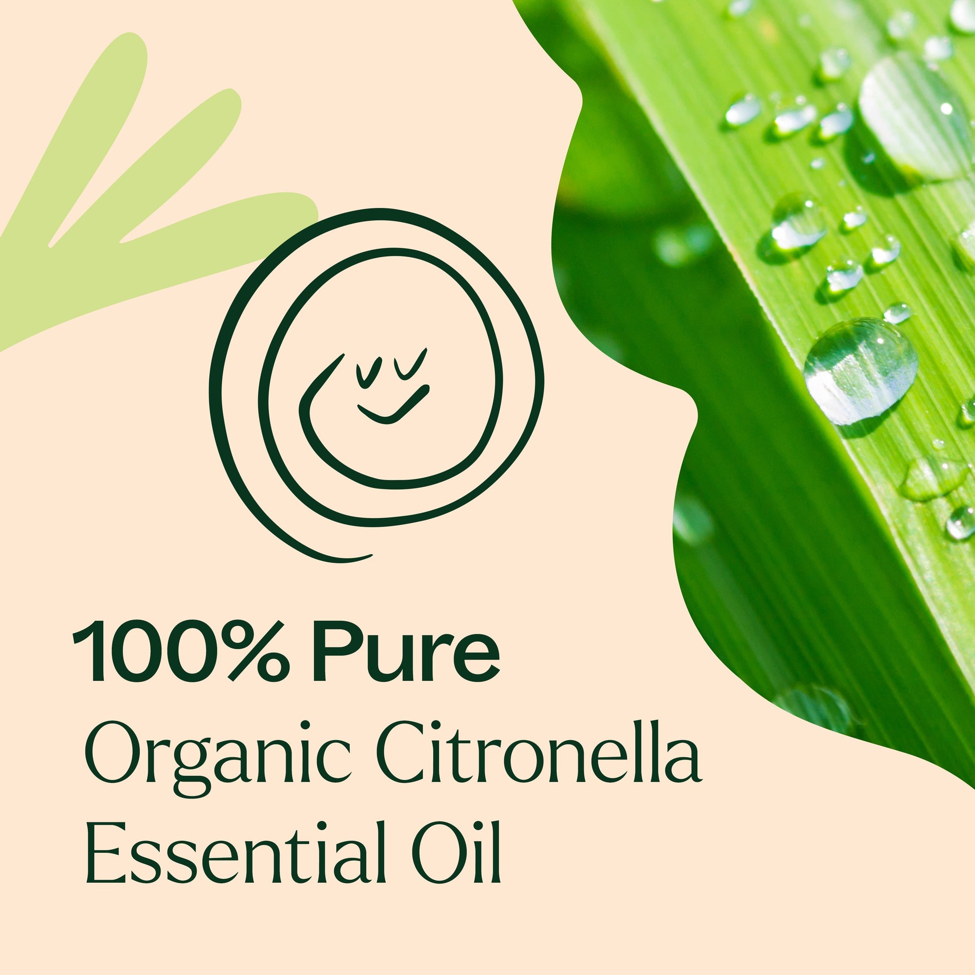 Organic Citronella Essential Oil - EcoStuff