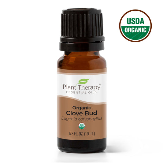 Organic Clove Bud Essential Oil - EcoStuff