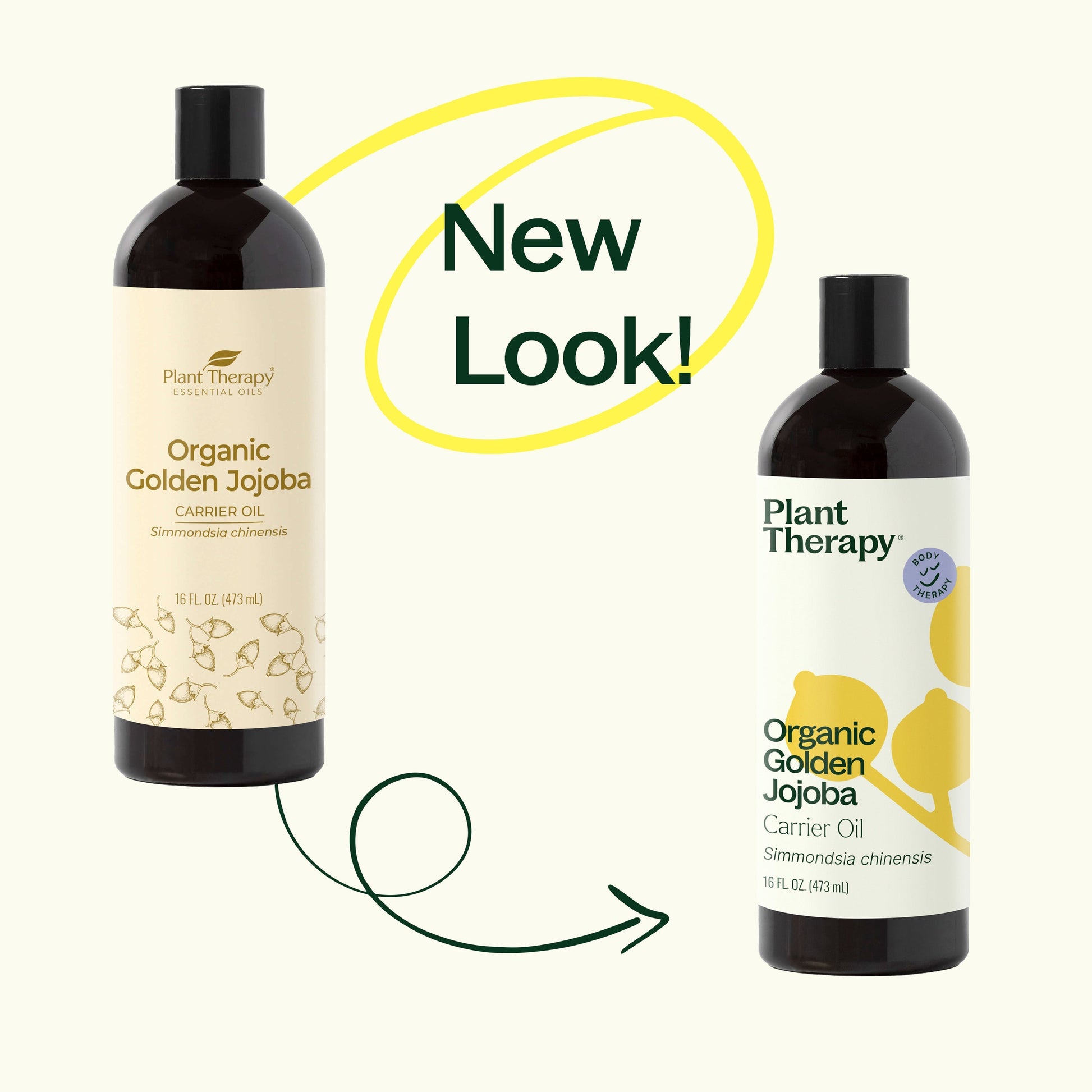 Organic Golden Jojoba Carrier Oil - EcoStuff