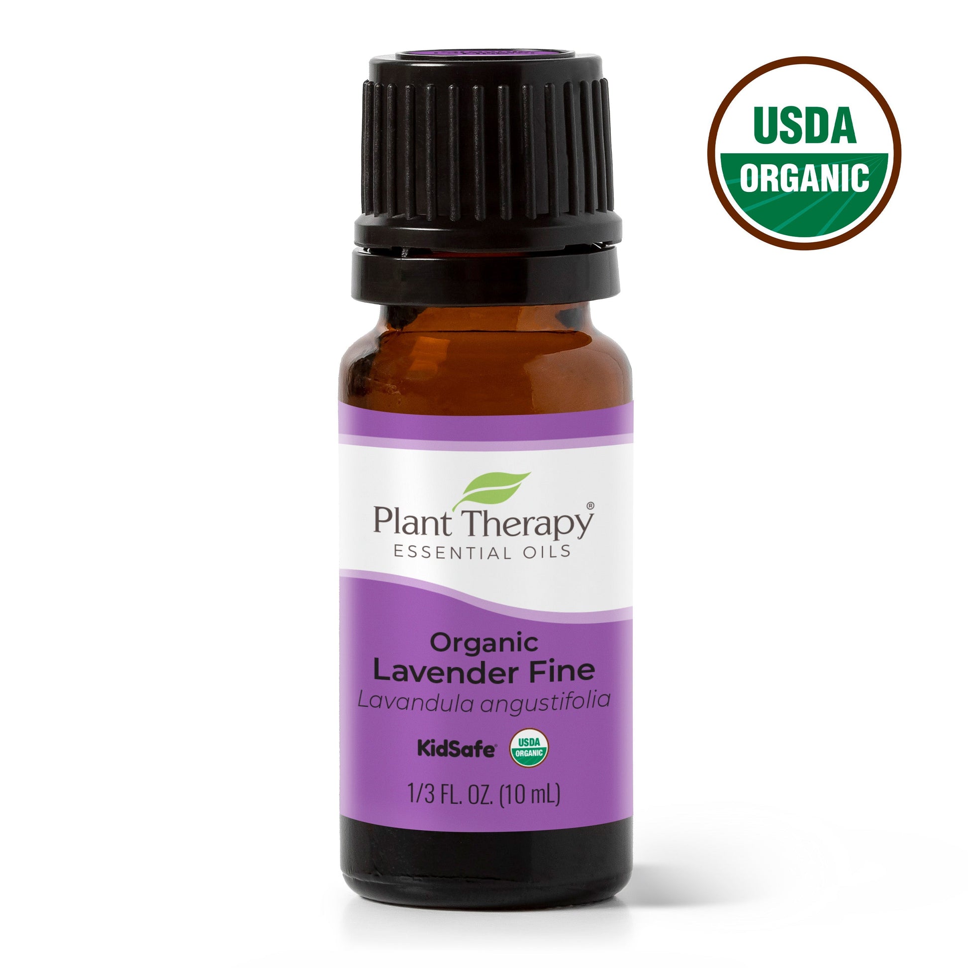 Organic Lavender Fine Essential Oil - EcoStuff