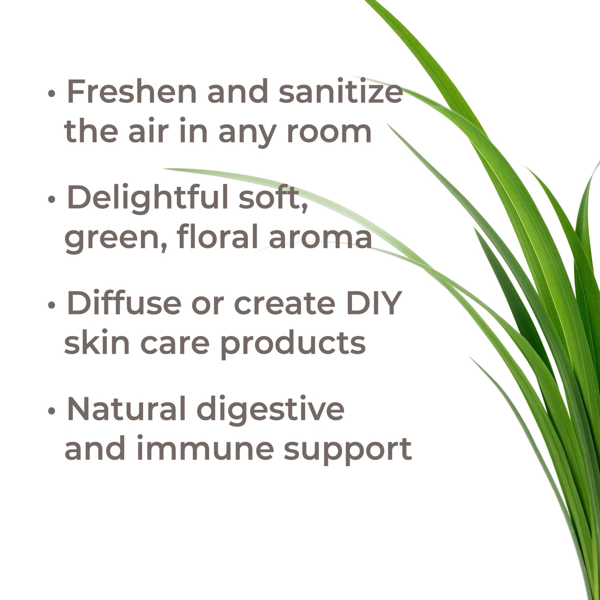 Organic Palmarosa Essential Oil - EcoStuff