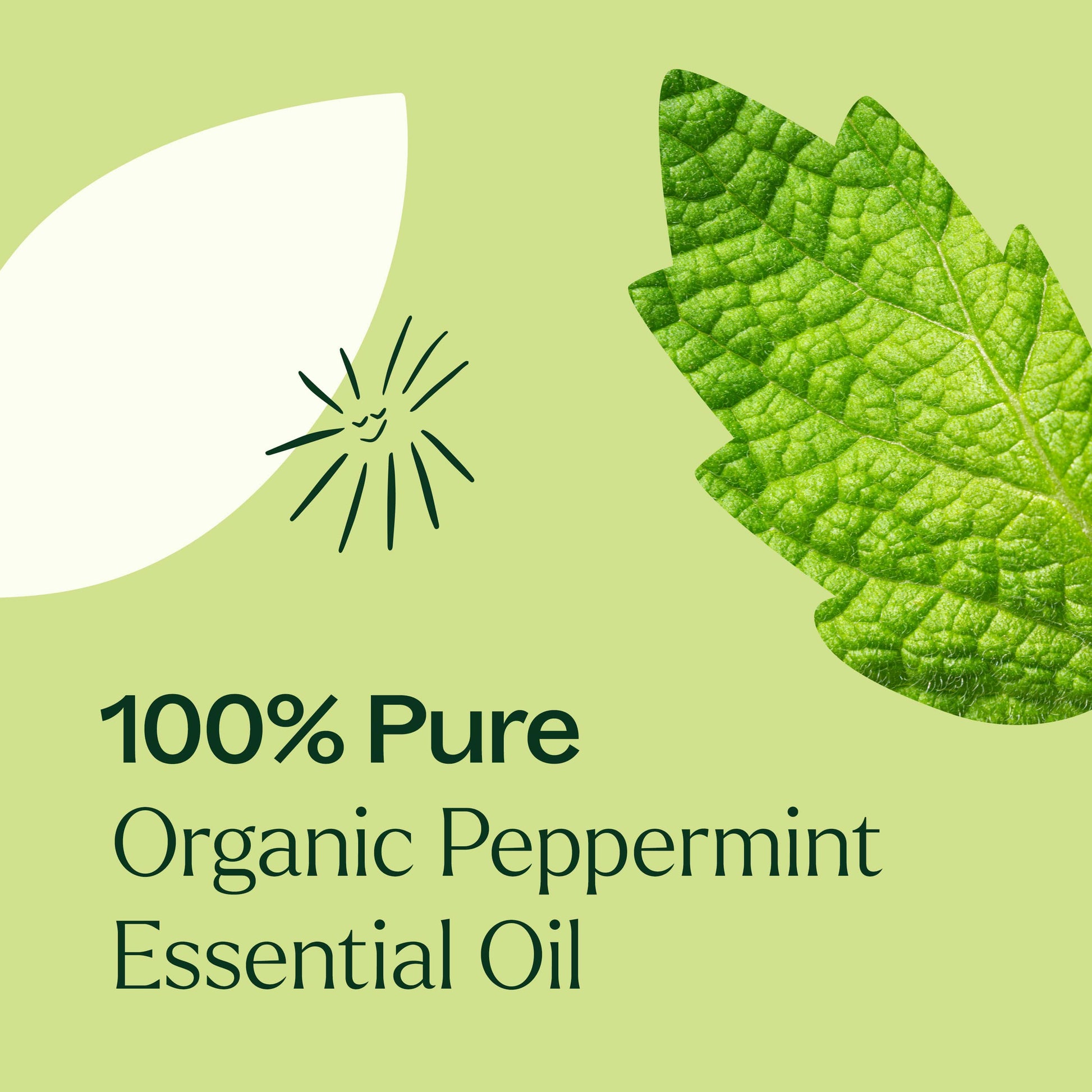 Organic Peppermint Essential Oil Pre - Diluted Roll - On - EcoStuff