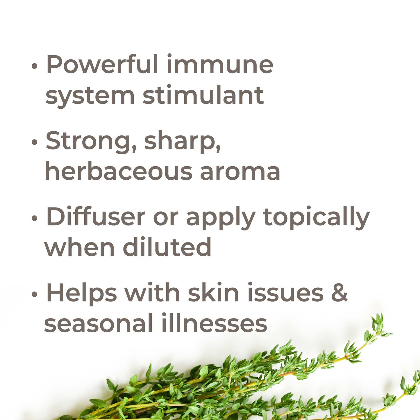 Organic Thyme Thymol Essential Oil - EcoStuff