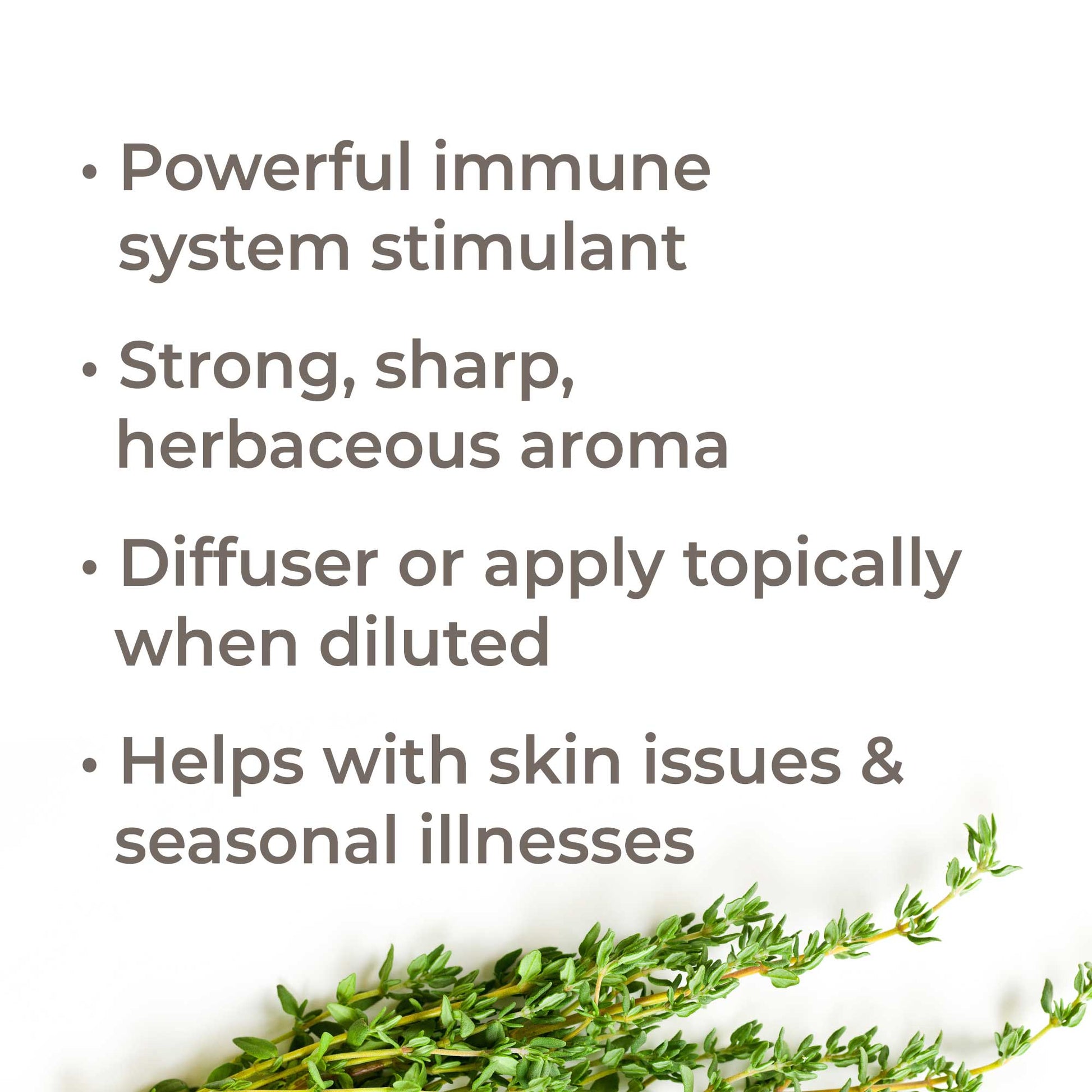 Organic Thyme Thymol Essential Oil - EcoStuff