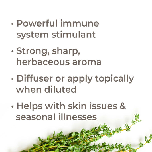 Organic Thyme Thymol Essential Oil - EcoStuff
