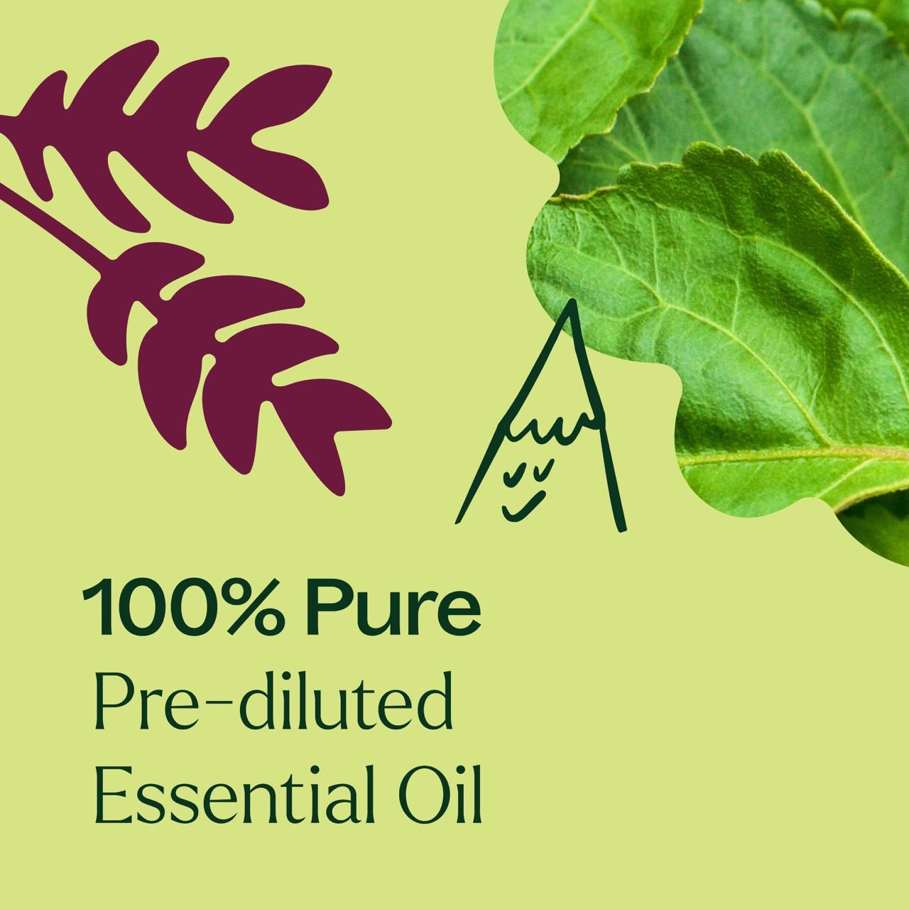 Patchouli Essential Oil Pre - Diluted Roll - On - EcoStuff