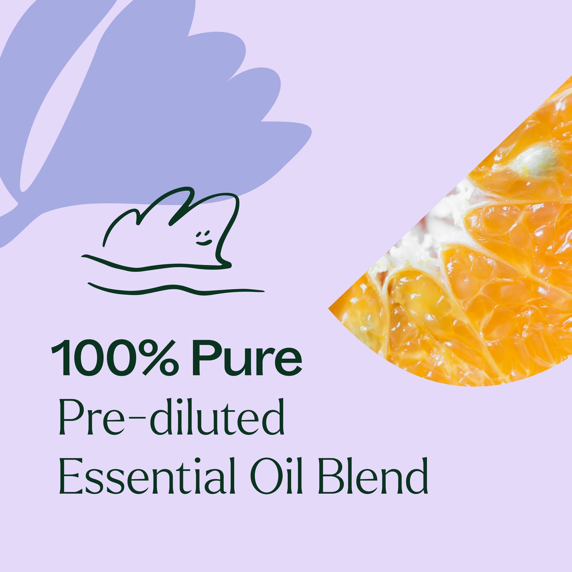 Relax Essential Oil Blend Pre - Diluted Roll - On - EcoStuff