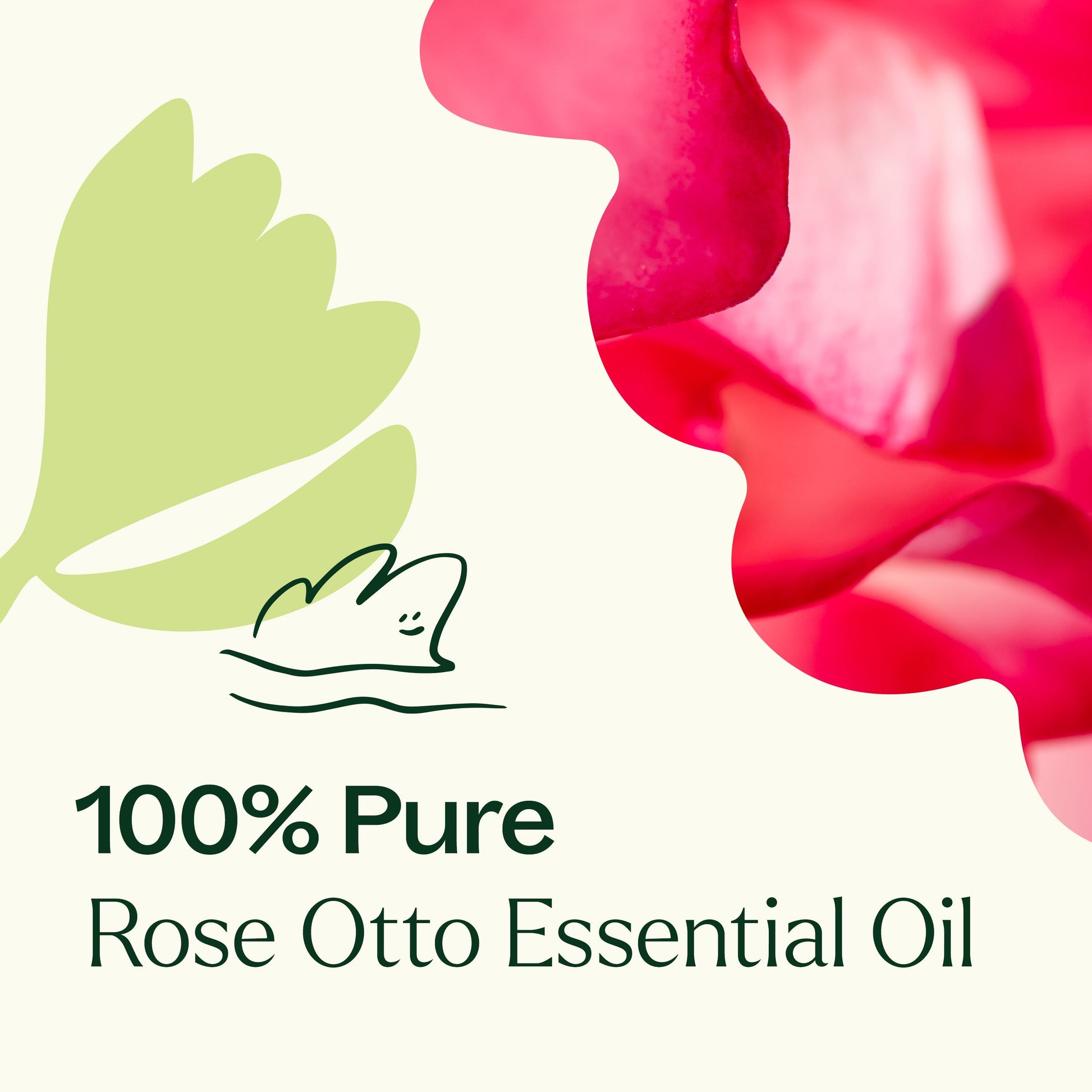 Rose Otto Essential Oil - EcoStuff